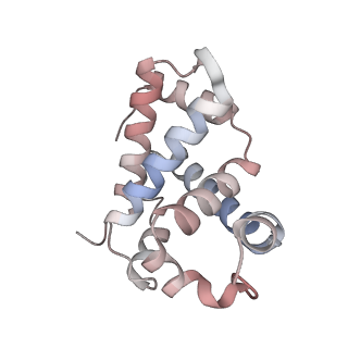 31915_7vde_D_v1-1
3.6 A structure of the human hemoglobin