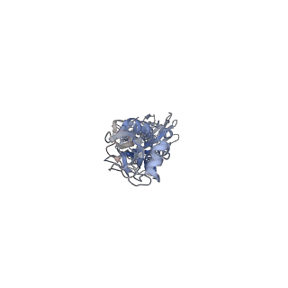 31916_7vdf_A_v1-0
2.56 A structure of influenza hemagglutinin (HA) trimer