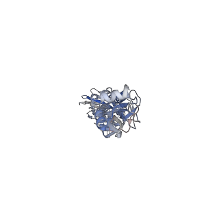 31916_7vdf_B_v1-0
2.56 A structure of influenza hemagglutinin (HA) trimer