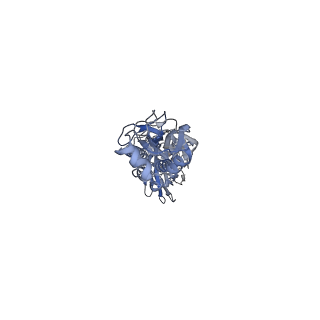 31916_7vdf_C_v1-0
2.56 A structure of influenza hemagglutinin (HA) trimer