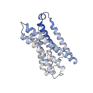 31918_7vdh_R_v1-1
Cryo-EM structure of pseudoallergen receptor MRGPRX2 complex with C48/80, state2