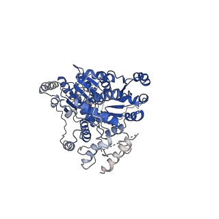 31925_7vdt_A_v1-0
The motor-nucleosome module of human chromatin remodeling PBAF-nucleosome complex