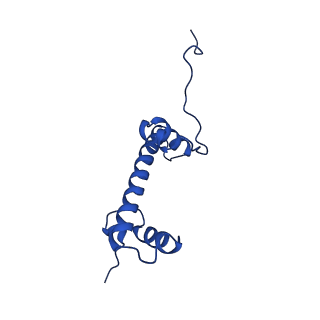 31925_7vdt_C_v1-0
The motor-nucleosome module of human chromatin remodeling PBAF-nucleosome complex