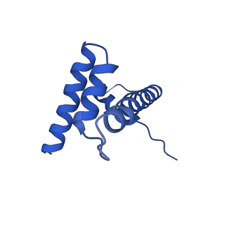 31925_7vdt_D_v1-0
The motor-nucleosome module of human chromatin remodeling PBAF-nucleosome complex