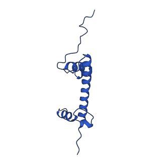 31925_7vdt_G_v1-0
The motor-nucleosome module of human chromatin remodeling PBAF-nucleosome complex