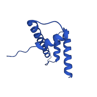 31925_7vdt_H_v1-0
The motor-nucleosome module of human chromatin remodeling PBAF-nucleosome complex