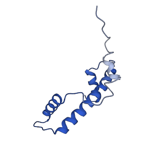 31925_7vdt_K_v1-0
The motor-nucleosome module of human chromatin remodeling PBAF-nucleosome complex