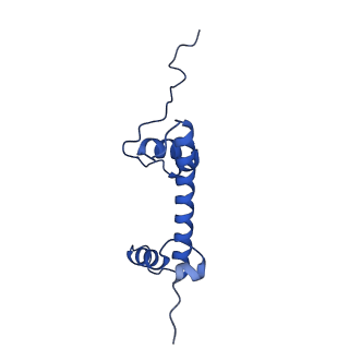 31926_7vdv_G_v1-0
The overall structure of human chromatin remodeling PBAF-nucleosome complex
