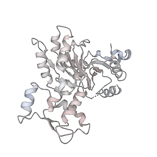 31926_7vdv_P_v1-0
The overall structure of human chromatin remodeling PBAF-nucleosome complex
