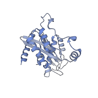 31926_7vdv_V_v1-0
The overall structure of human chromatin remodeling PBAF-nucleosome complex