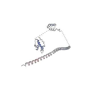 31926_7vdv_W_v1-0
The overall structure of human chromatin remodeling PBAF-nucleosome complex