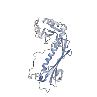 43147_8vde_D5_v1-1
SaPI1 portal-capsid interface in mature capsids with DNA