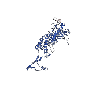 43147_8vde_P1_v1-1
SaPI1 portal-capsid interface in mature capsids with DNA