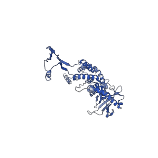 43147_8vde_P4_v1-1
SaPI1 portal-capsid interface in mature capsids with DNA