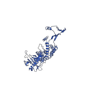 43147_8vde_P7_v1-1
SaPI1 portal-capsid interface in mature capsids with DNA