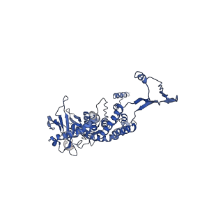 43147_8vde_P8_v1-1
SaPI1 portal-capsid interface in mature capsids with DNA