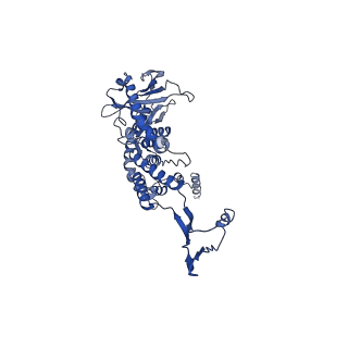 43147_8vde_Q2_v1-1
SaPI1 portal-capsid interface in mature capsids with DNA