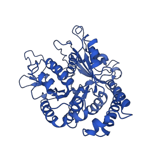 20858_6ve7_0_v1-0
The inner junction complex of Chlamydomonas reinhardtii doublet microtubule