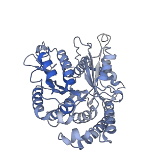 20858_6ve7_1_v1-0
The inner junction complex of Chlamydomonas reinhardtii doublet microtubule