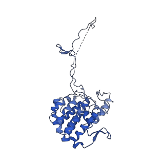 20858_6ve7_2_v1-0
The inner junction complex of Chlamydomonas reinhardtii doublet microtubule
