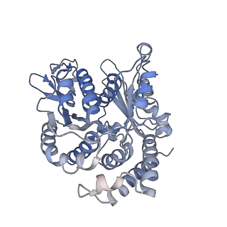 20858_6ve7_4_v1-0
The inner junction complex of Chlamydomonas reinhardtii doublet microtubule