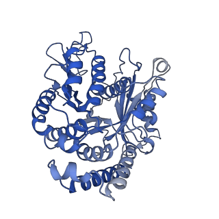 20858_6ve7_5_v1-0
The inner junction complex of Chlamydomonas reinhardtii doublet microtubule