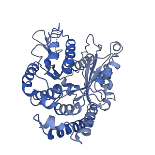 20858_6ve7_7_v1-0
The inner junction complex of Chlamydomonas reinhardtii doublet microtubule