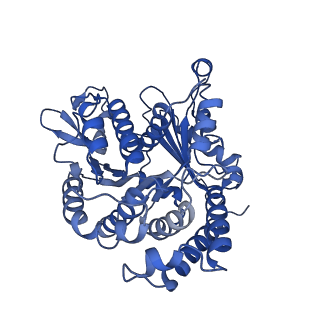 20858_6ve7_8_v1-0
The inner junction complex of Chlamydomonas reinhardtii doublet microtubule