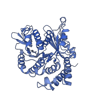 20858_6ve7_9_v1-0
The inner junction complex of Chlamydomonas reinhardtii doublet microtubule