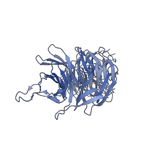 20858_6ve7_B_v1-0
The inner junction complex of Chlamydomonas reinhardtii doublet microtubule