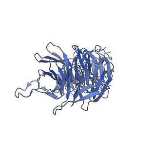 20858_6ve7_C_v1-0
The inner junction complex of Chlamydomonas reinhardtii doublet microtubule