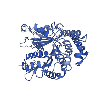 20858_6ve7_E_v1-0
The inner junction complex of Chlamydomonas reinhardtii doublet microtubule