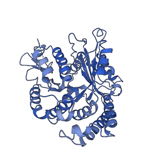 20858_6ve7_F_v1-0
The inner junction complex of Chlamydomonas reinhardtii doublet microtubule