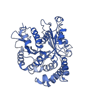 20858_6ve7_G_v1-0
The inner junction complex of Chlamydomonas reinhardtii doublet microtubule