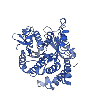 20858_6ve7_J_v1-0
The inner junction complex of Chlamydomonas reinhardtii doublet microtubule