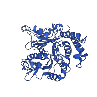 20858_6ve7_K_v1-0
The inner junction complex of Chlamydomonas reinhardtii doublet microtubule