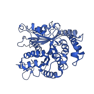 20858_6ve7_L_v1-0
The inner junction complex of Chlamydomonas reinhardtii doublet microtubule