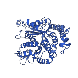 20858_6ve7_M_v1-0
The inner junction complex of Chlamydomonas reinhardtii doublet microtubule
