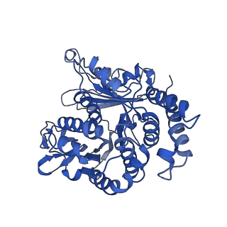 20858_6ve7_N_v1-0
The inner junction complex of Chlamydomonas reinhardtii doublet microtubule