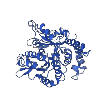 20858_6ve7_O_v1-0
The inner junction complex of Chlamydomonas reinhardtii doublet microtubule