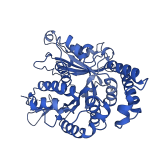 20858_6ve7_P_v1-0
The inner junction complex of Chlamydomonas reinhardtii doublet microtubule