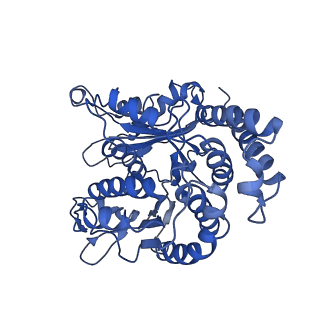 20858_6ve7_Q_v1-0
The inner junction complex of Chlamydomonas reinhardtii doublet microtubule