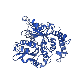 20858_6ve7_R_v1-0
The inner junction complex of Chlamydomonas reinhardtii doublet microtubule