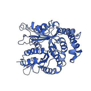 20858_6ve7_S_v1-0
The inner junction complex of Chlamydomonas reinhardtii doublet microtubule