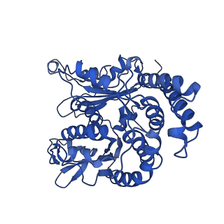 20858_6ve7_T_v1-0
The inner junction complex of Chlamydomonas reinhardtii doublet microtubule