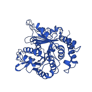 20858_6ve7_U_v1-0
The inner junction complex of Chlamydomonas reinhardtii doublet microtubule