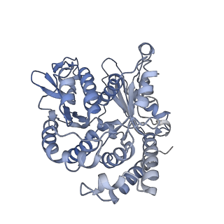 20858_6ve7_V_v1-0
The inner junction complex of Chlamydomonas reinhardtii doublet microtubule