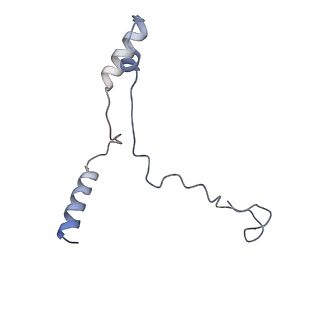20858_6ve7_W_v1-0
The inner junction complex of Chlamydomonas reinhardtii doublet microtubule