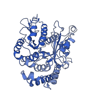 20858_6ve7_X_v1-0
The inner junction complex of Chlamydomonas reinhardtii doublet microtubule