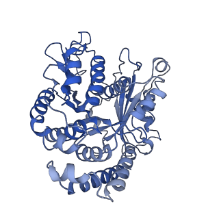 20858_6ve7_Z_v1-0
The inner junction complex of Chlamydomonas reinhardtii doublet microtubule